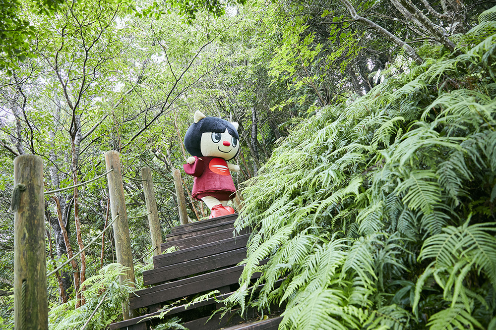 木々の緑から元気をもらえます