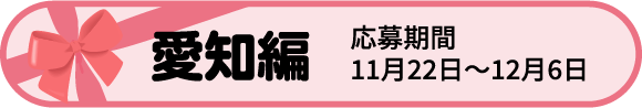 愛知編 